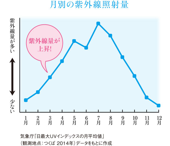 月別の紫外線照射線