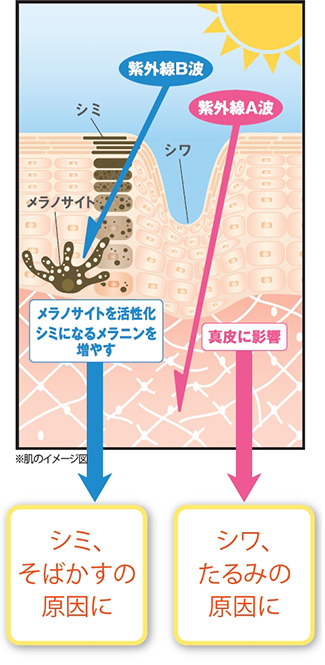 イメージ図