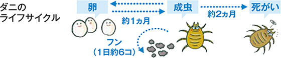 イメージ図