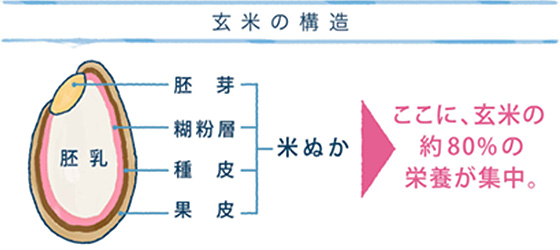 イメージ図