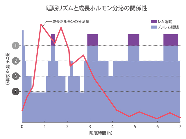 睡眠のゴールデンタイムとは 成長ホルモン分泌のための睡眠方法 サンスター公式 お口とカラダコラム