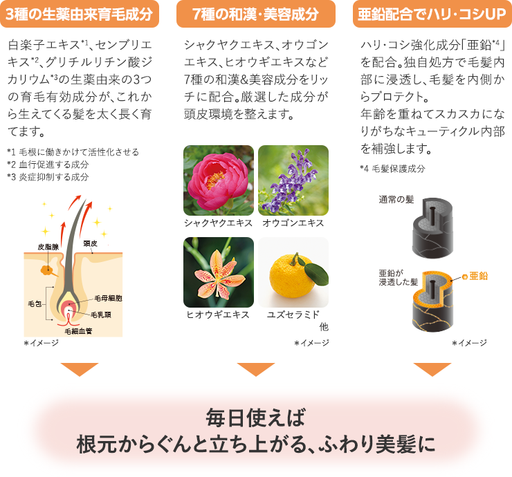3種の生薬由来育毛成分 7種の和漢・美容成分 亜鉛配合でハリ・コシUP