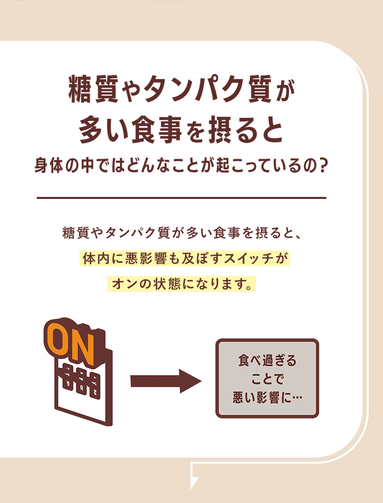 糖質やタンパク質が多い食事を摂ると