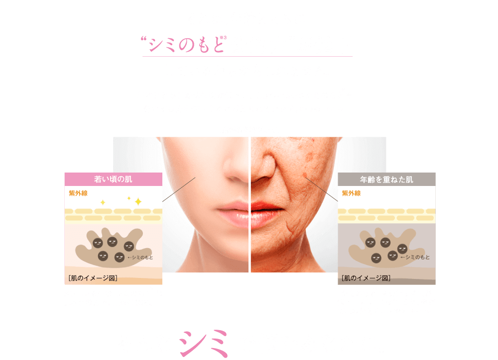 それは、年齢とともに”シミのもと※3分解力”が低下しているからかもしれません。 年齢とともに新陳代謝が低下し、肌が本来持つシミのもと※3を分解する力も低下すると考えられています。※3酵素チロシナーゼ。 ［紫外線を浴びた時］若い頃の肌：メラニンを生む「シミのもと※3」は肌本来の力で、自然に分解。 年齢を重ねた肌：「シミのもと※3」を分解する力が低下。メラニンが生まれ、やがて肌のシミに。※3酵素チロシナーゼ。 そんなシミで悩むあなたに。