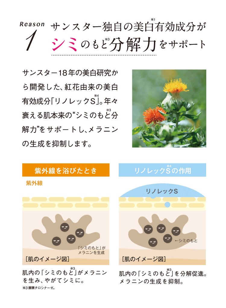 Reason1 サンスター独自の美白※1有効成分がシミのもと※3分解力をサポート サンスター18年の美白研究から開発した、紅花由来の美白有効成分「リノレックS※4」。年々衰える肌本来の”シミのもと※3分解力”をサポートし、メラニンの生成を抑制します。 紫外線を浴びたとき：肌内の「シミのもと※3」がメラニンを生み、やがてシミに。 ※3 酵素チロシナーゼ。 リノレックS※4の作用：肌内の「シミのもと※3」を分解促進。メラニンの生成を抑制。