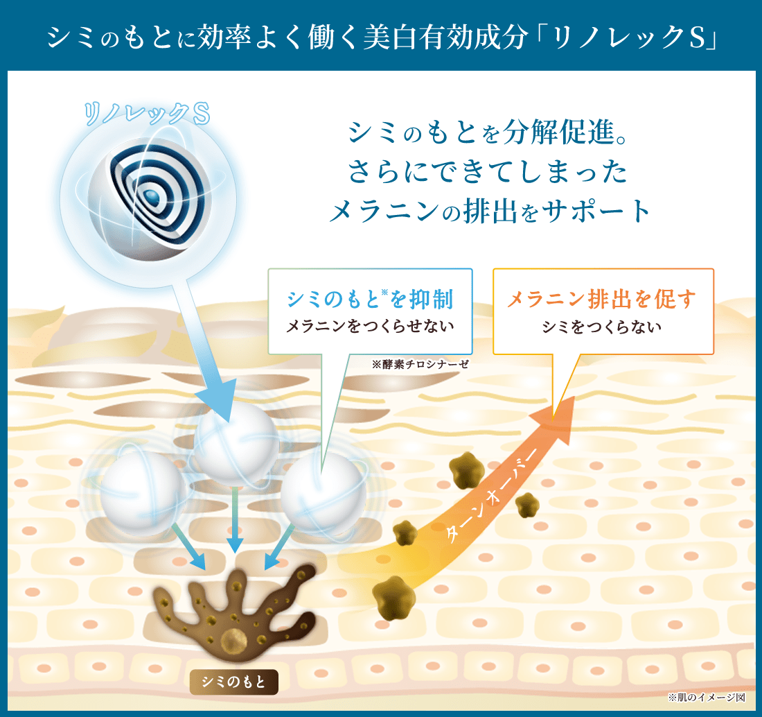 シミのもとに効率よく働く美白有効成分「リノレックS」