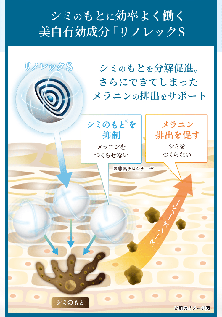 シミのもとに効率よく働く美白有効成分「リノレックS」