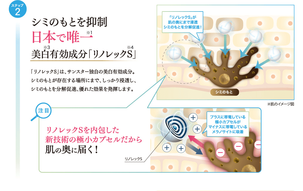 ステップ2 シミのもとを抑制　日本で唯一美白有効成分「リノレックS」