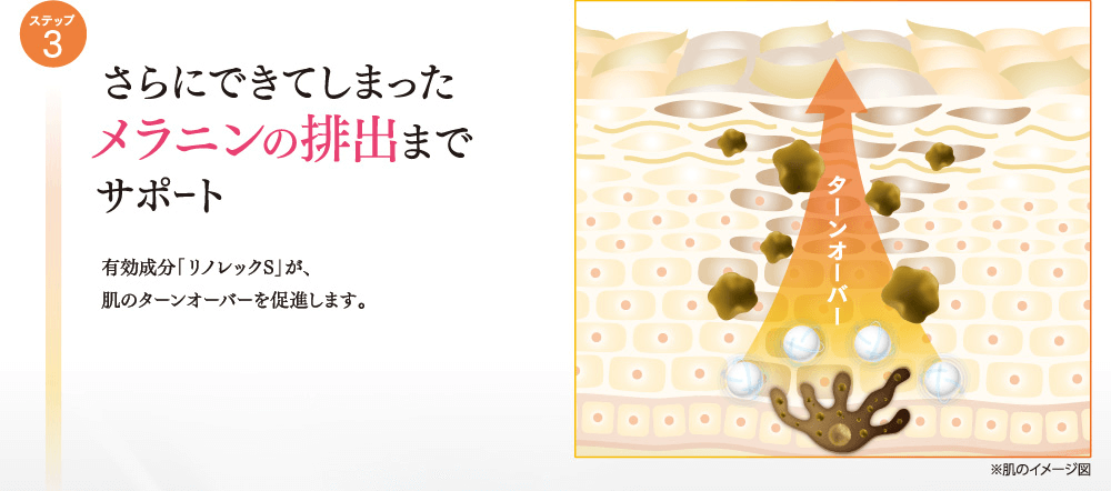 ステップ3 さらにできてしまったメラニンの排出までサポート