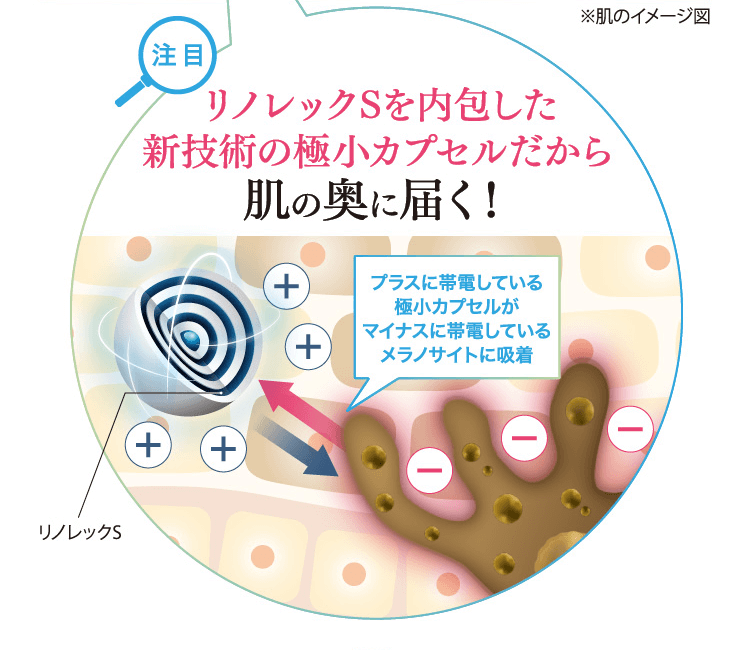 リノレックSを内包した新技術の極小カプセルだから肌の奥に届く！