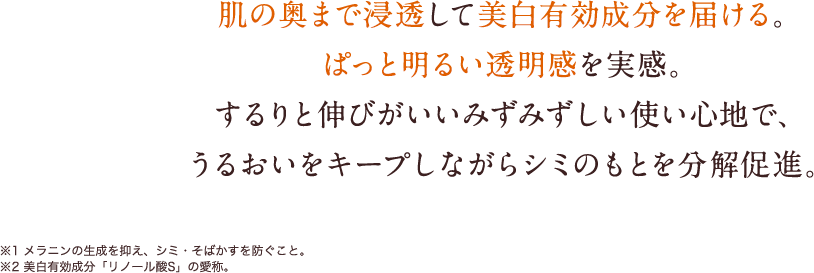 肌の奥まで浸透して美白有効成分を届ける。ぱっと明るい透明感を実感。するりと伸びがよいみずみずしい使い心地で、うるおいをキープしながらシミの元を分解促進。