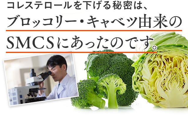 公式 サンスター 緑でサラナ980円モニター募集 サンスター公式通販