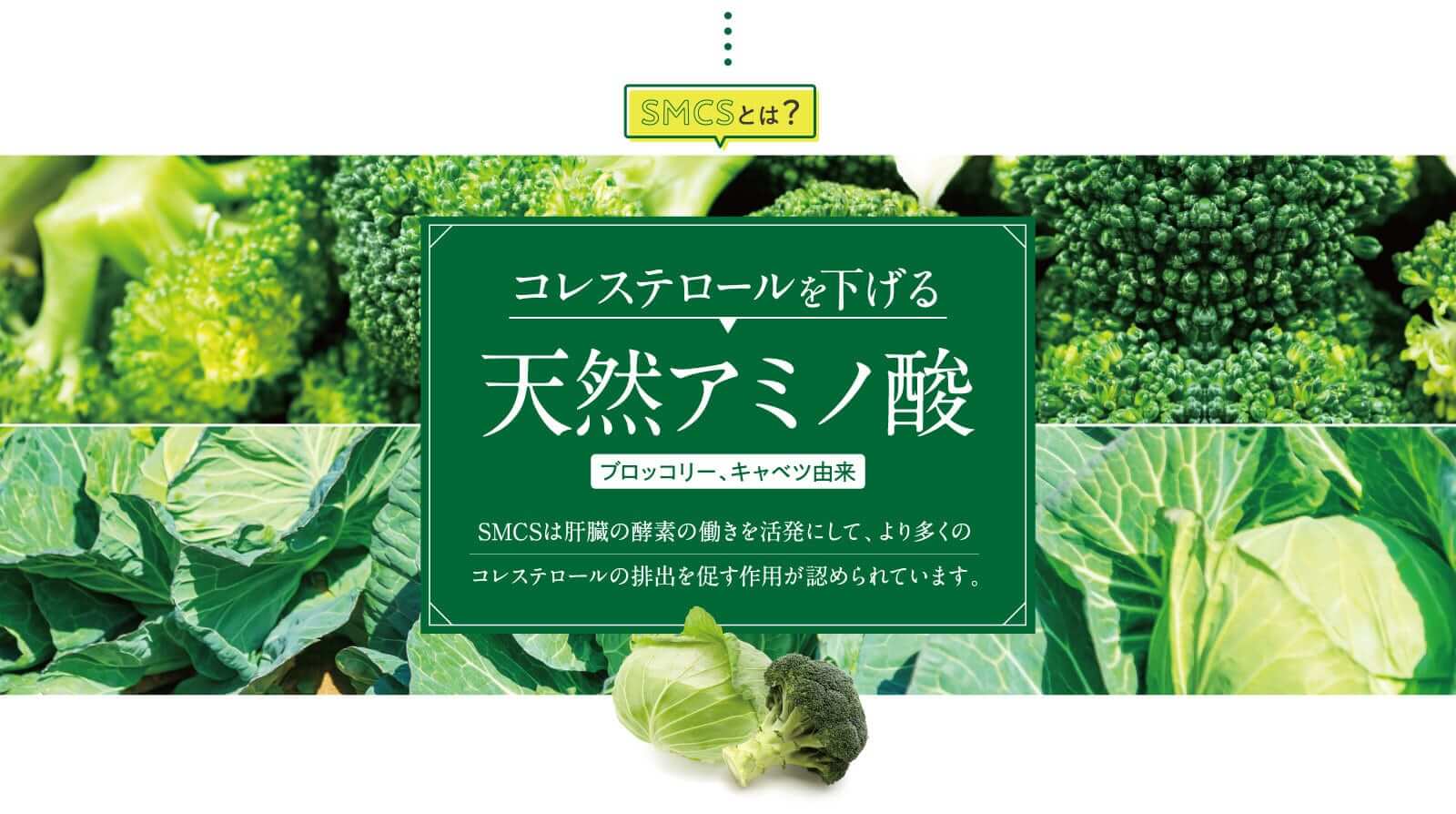 天然アミノ酸コレステロールを下げるブロッコリー、キャベツ由来SMCSは肝臓の酵素の働きを活発にして、より多くのコレステロールの排出を促す作用が認められています。