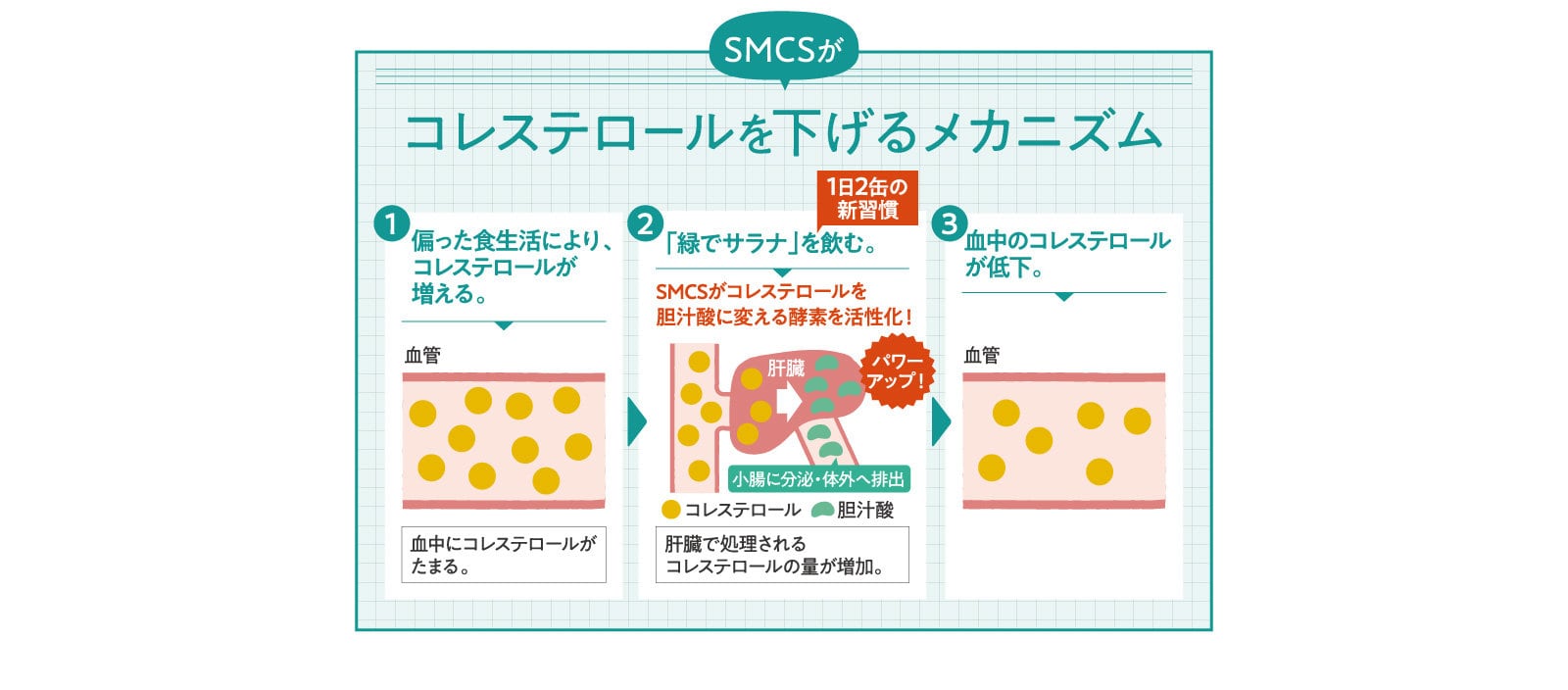 コレステロールを下げるメカニズム