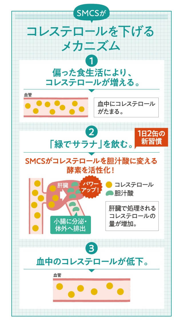 コレステロールを下げるメカニズム