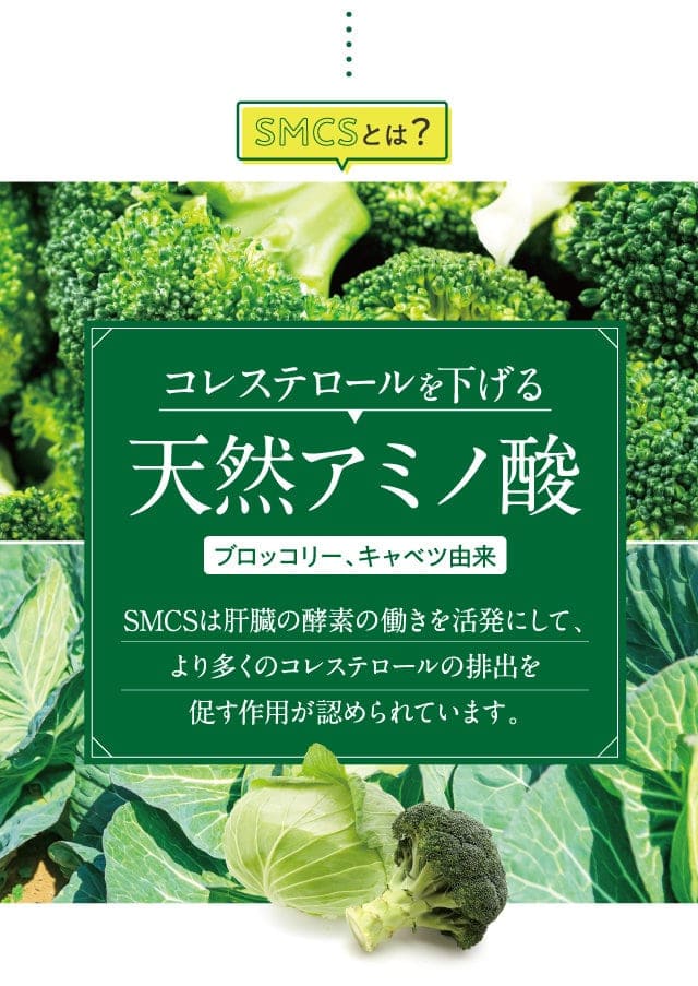 コレステロールを下げるブロッコリー、キャベツ由来SMCSは肝臓の酵素の働きを活発にして、より多くのコレステロールの排出を促す作用が認められています。天然アミノ酸