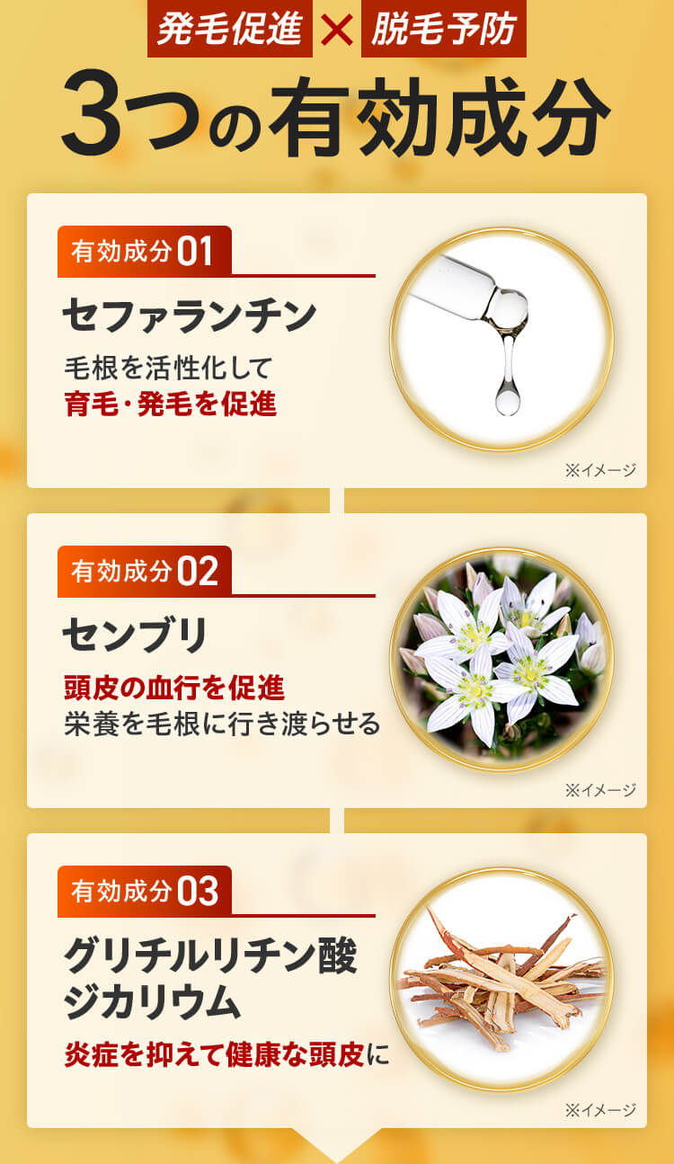 発毛促進×脱毛予防 3つの有効成分