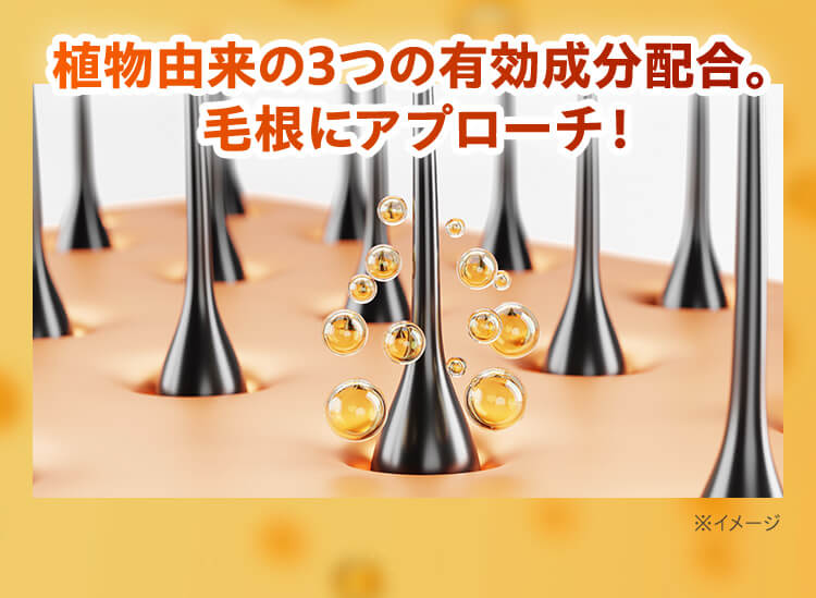 植物由来の3つの有効成分配合。毛根にアプローチ！