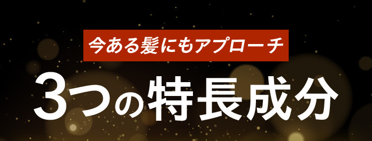 今ある髪にもアプローチ 3つの特徴成分