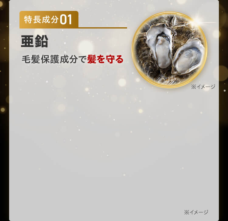 特徴成分01 亜鉛