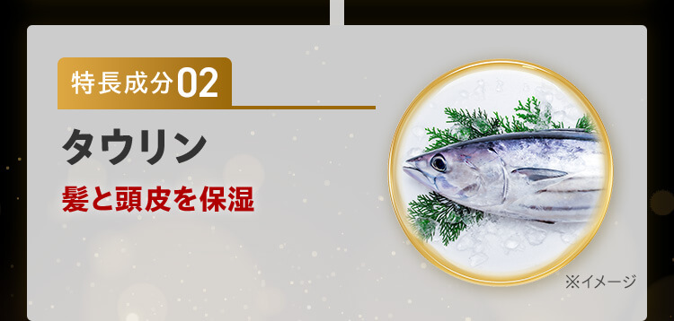 特徴成分02 タウリン