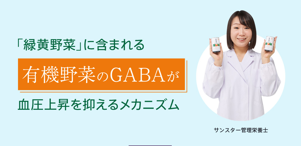 「緑黄野菜」に含まれる有機野菜のGABAが血圧上昇を抑えるメカニズム