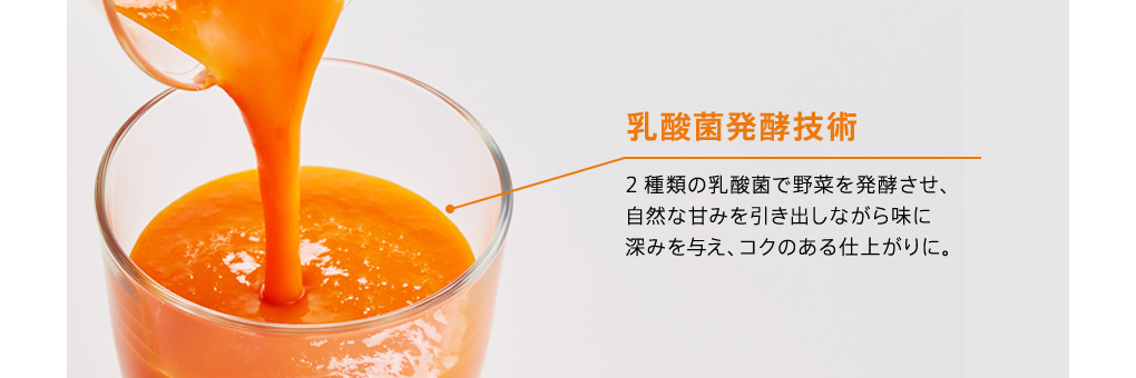 乳酸菌発酵技術