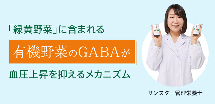 「緑黄野菜」に含まれる有機野菜のGABAが血圧上昇を抑えるメカニズム