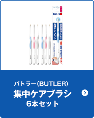 バトラー（BUTLER）集中ケアブラシ6本セット