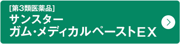 [第3類医薬品]サンスター ガム・メディカルペーストEX