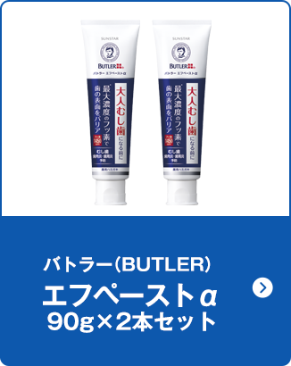 バトラー（BUTLER）エフペーストα 90g×2本セット
