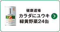 健康道場 カラダにユウキ緑黄野菜24缶