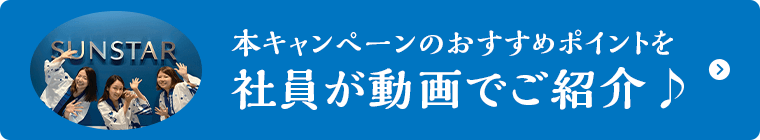 社員が動画でご紹介