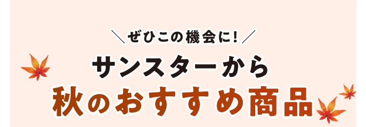 eq_img13