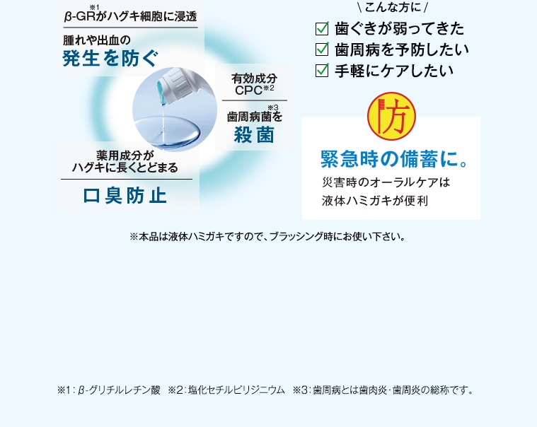 ※本品は液体ハミガキですので、ブラッシング時にお使い下さい。