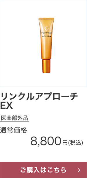 リンクルアプローチ