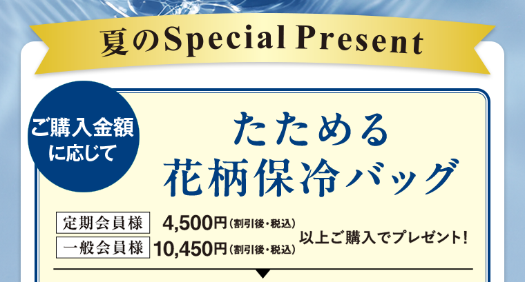 夏のSpecial Present ご購入金額に応じて たためる花柄保冷バッグ 定期会員様4,500円（割引後・税込）、一般会員様10,450円（割引後・税込）以上ご購入でプレゼント！