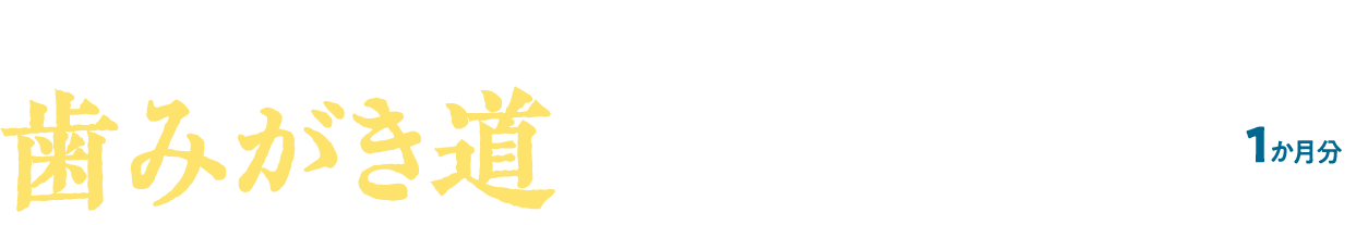 歯みがき道はじめる！セット1ヶ月分