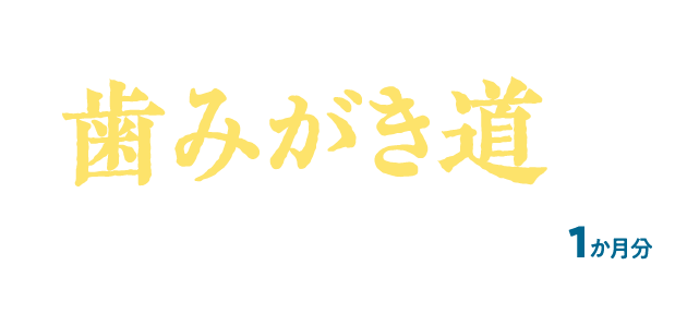 歯みがき道はじめる！セット1ヶ月分