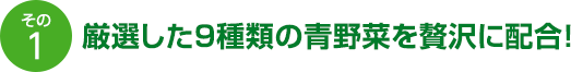 その1 厳選した9種類の青野菜を贅沢に配合!