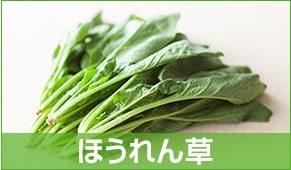 ほうれん草