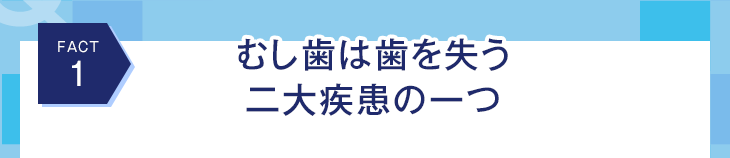 Fact 1むし歯は歯を失う二大疾患の一つ