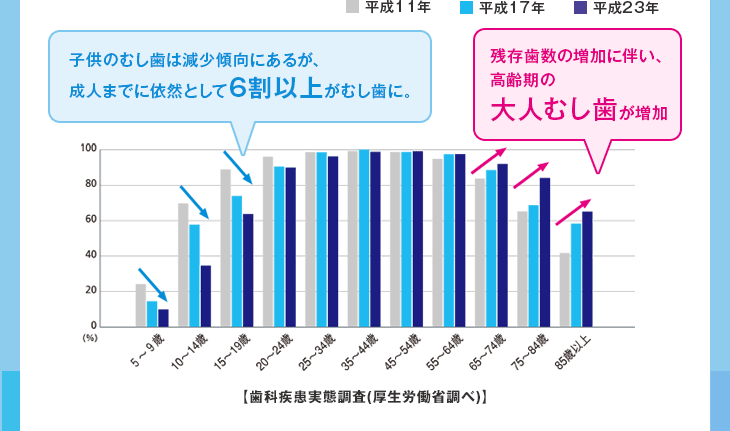 子供のむし歯は減少傾向にあるが、
	成人までに依然として6割以上がむし歯に。 残存歯数の増加に伴い、高齢期の大人むし歯が増加 【歯科疾患実態調査(厚生労働省調べ)】