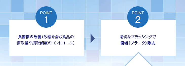 point1 食習慣の改善(砂糖を含む食品の摂取量や摂取頻度のコントロール) point2 適切なブラッシングで歯垢(プラーク)除去