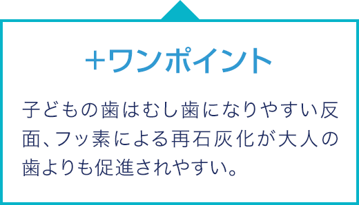 +ワンポイント 子どもの歯はむし歯になりやすい反面、フッ素による再石灰化が大人の歯よりも促進されやすい。