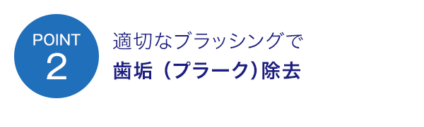 point2 適切なブラッシングで歯垢 (プラーク)除去 