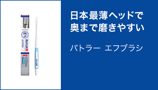 日本最薄ヘッドで奥まで磨きやすい バトラー エフブラシ