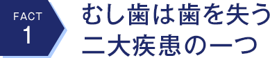 むし歯は歯を失う二大疾患の一つ