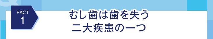 FACT1 むし歯は歯を失う二大疾患の一つ