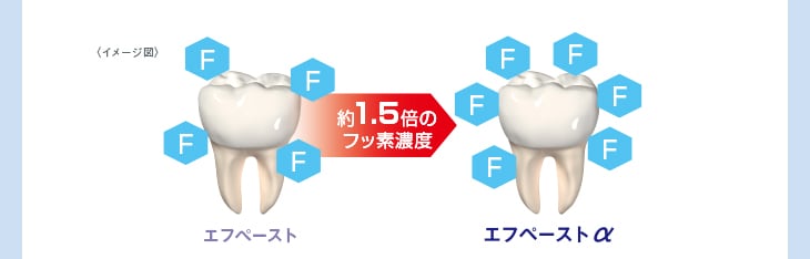 <イメージ図>約1.5倍のフッ素濃度